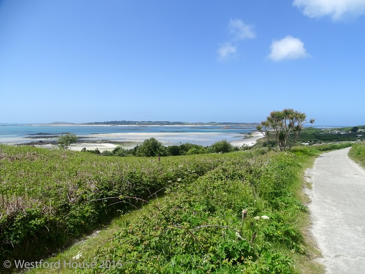 Westford Scilly -9